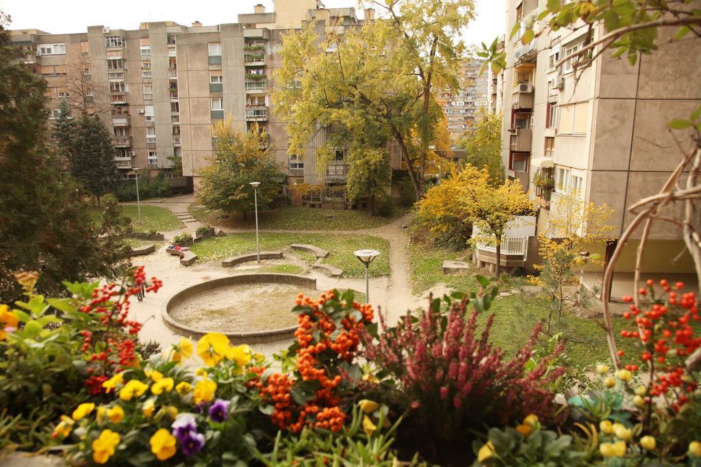 Apartment Spacious Liman Нови Сад Екстериор снимка
