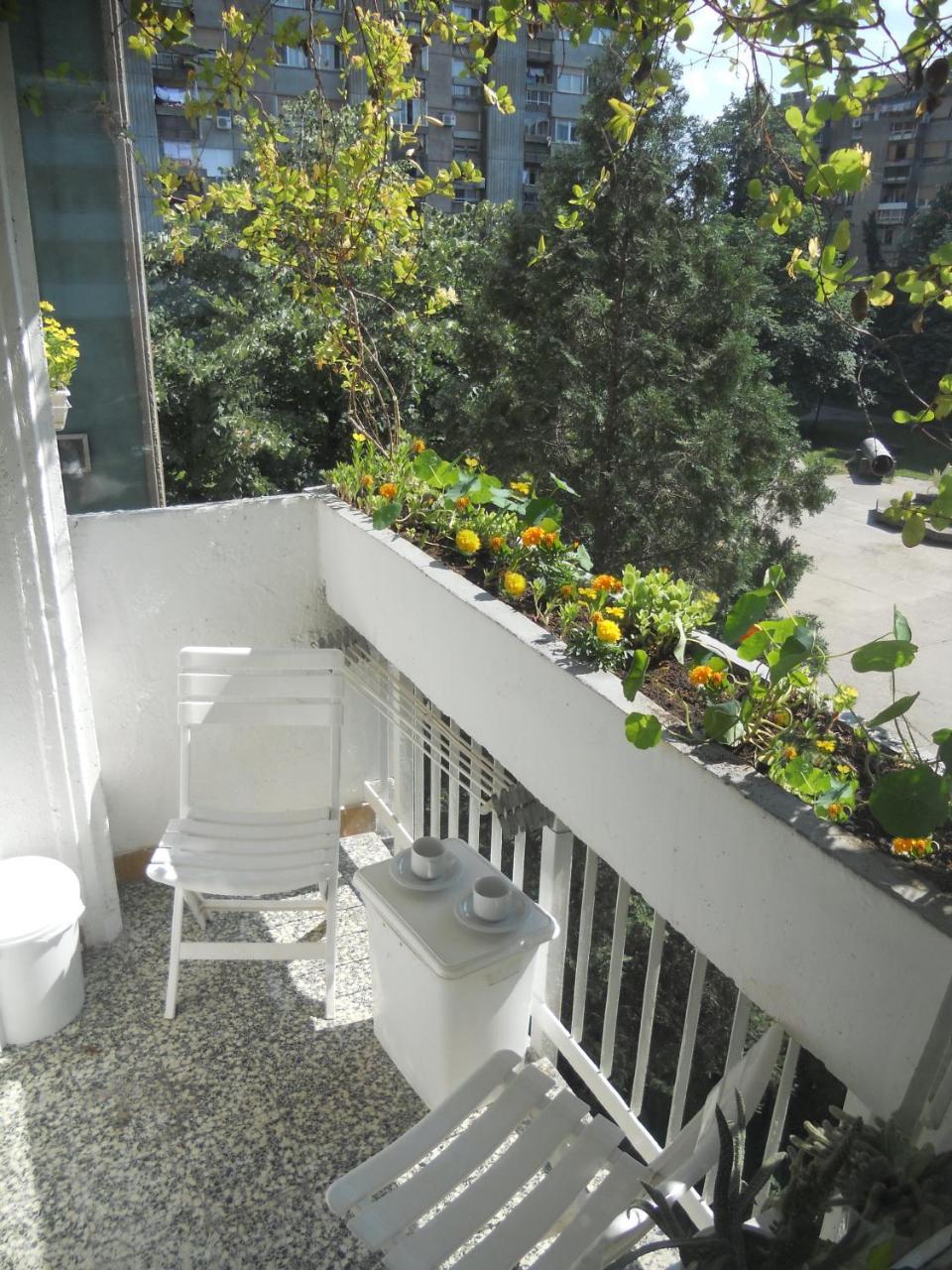 Apartment Spacious Liman Нови Сад Екстериор снимка